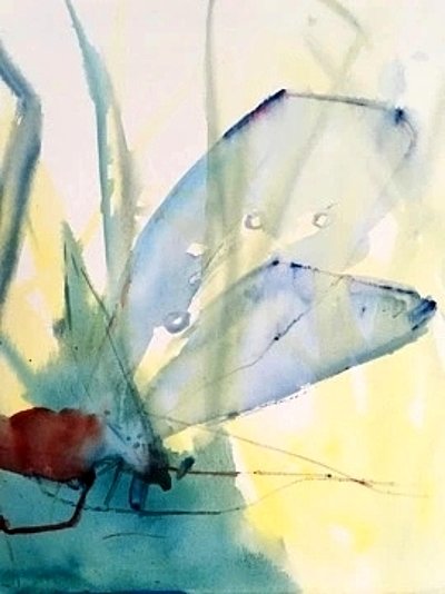 Galerie Bilder von Pflanzen&Tiere